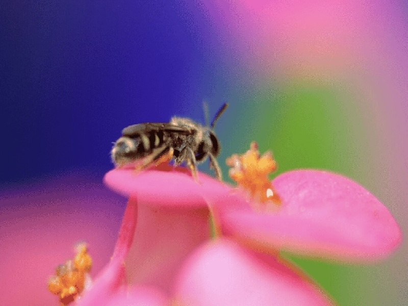 张女士成功案例